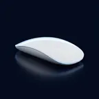 Magic Mouse